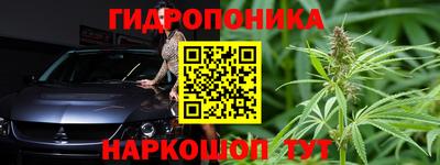 трава Бердск
