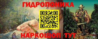трава Бердск