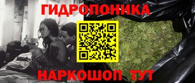 трава Бердск