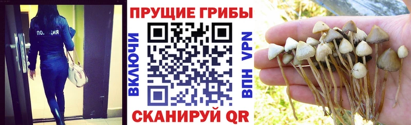 ссылка на мегу ссылки  Аша  shop клад  Псилоцибиновые грибы прущие грибы 