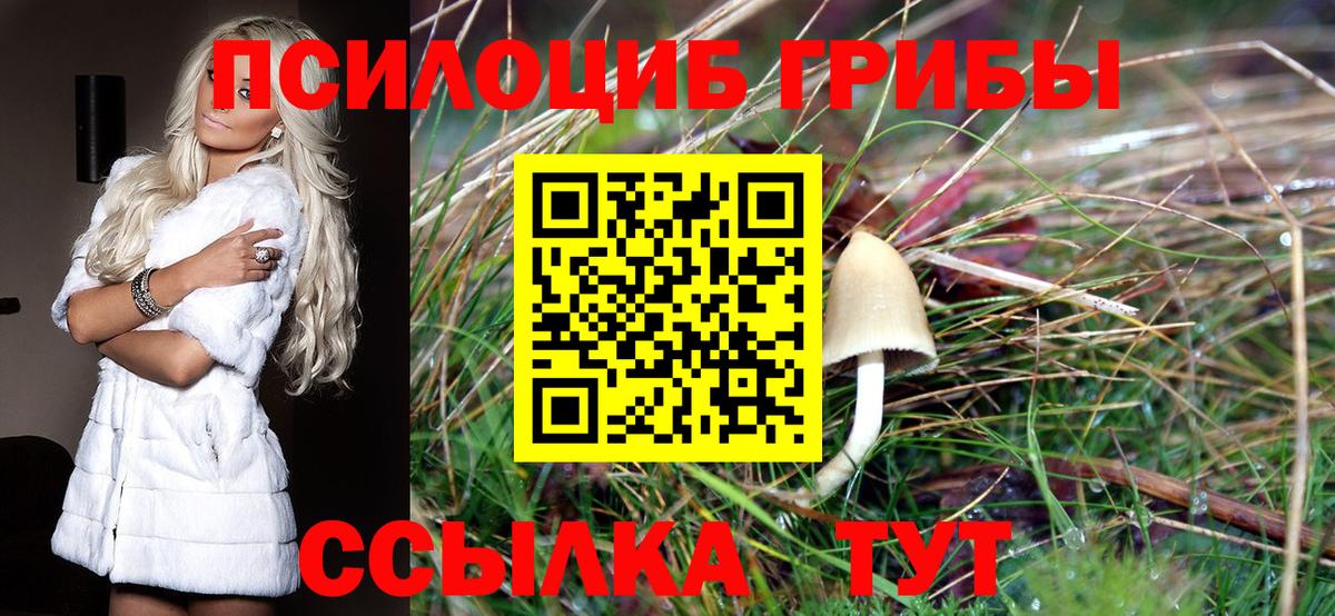 Псилоцибиновые грибы прущие грибы Аша