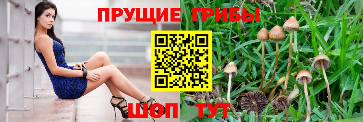 Аша  Псилоцибиновые грибы мицелий  Вход с VPN 